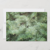 Groene Kerstboom Dennengehaktfeest Uitnodiging (Achterkant)