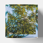 Groene kerstboom in sneeuw bedankdoosjes (Bovenkant)