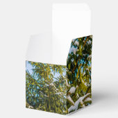 Groene kerstboom in sneeuw bedankdoosjes (Geopend)