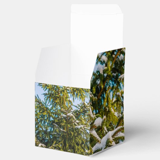 Groene kerstboom in sneeuw bedankdoosjes (Geopend)