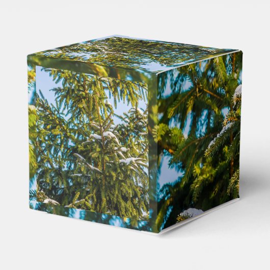 Groene kerstboom in sneeuw bedankdoosjes (Achterkant)