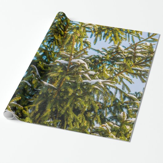 Groene kerstboom in sneeuw cadeaupapier (Uitgerold)