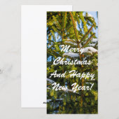 Groene kerstboom in sneeuw feestdagenkaart (Voorkant / Achterkant)