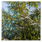 Groene kerstboom in sneeuw tegeltje (Voorkant)