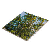 Groene kerstboom in sneeuw tegeltje (Zijkant)