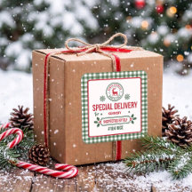 Groene Kerstman Express Rendier bezorging geruit