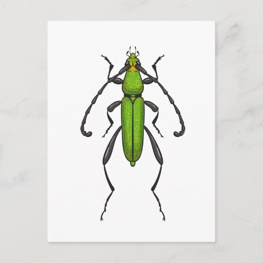 Groene kever briefkaart (Voorkant)