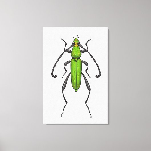 Groene kever canvas afdruk (Voorkant)