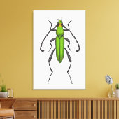 Groene kever canvas afdruk (Insitu (Woonkamer))