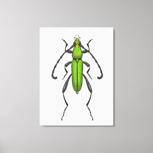 Groene kever canvas afdruk (Voorkant)