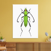 Groene kever canvas afdruk (Insitu (Woonkamer))
