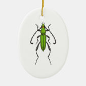 Groene kever keramisch ornament (Voorkant)