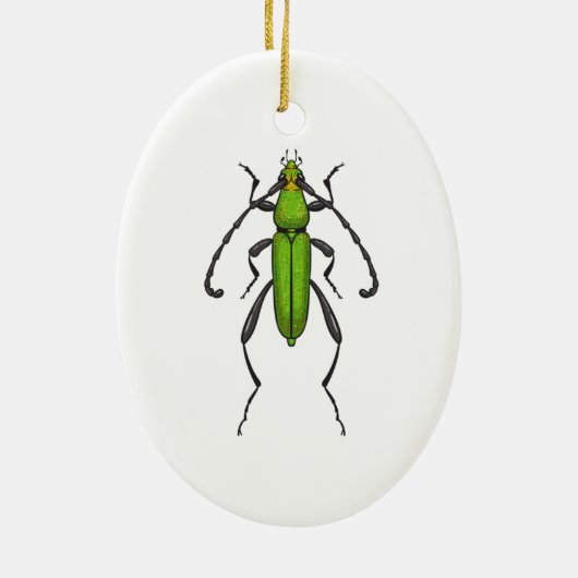 Groene kever keramisch ornament (Achterkant)