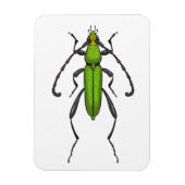 Groene kever magneet (Verticaal)