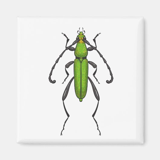 Groene kever magneet (Voorkant)