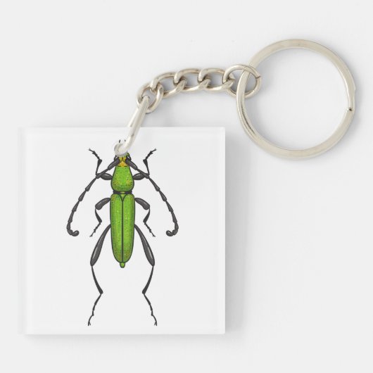 Groene kever sleutelhanger (Achterkant)