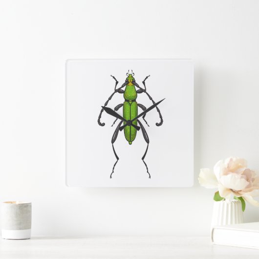 Groene kever vierkante klok (Huis)