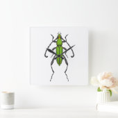 Groene kever vierkante klok (Huis)