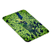 Groene kikker Amfibieën Vijverleven Magneet (Rechterzijde)