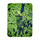 Groene kikker Amfibieën Vijverleven Magneet (Verticaal)