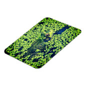 Groene kikker Amfibieën Vijverleven Magneet (Linkerzijde)