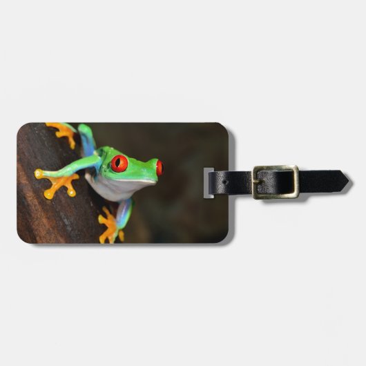 Groene kikker bagagelabel (Voorkant horizontaal)