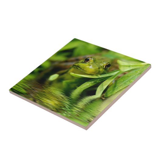 Groene kikker bij een hond tegeltje (Zijkant)