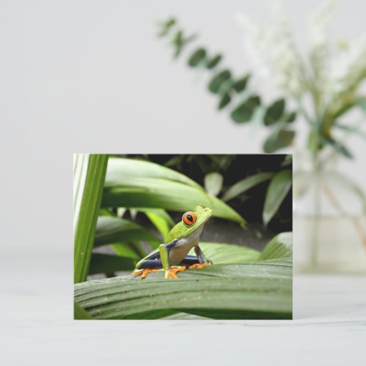 Groene kikker briefkaart (Staand voorkant)