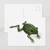 Groene kikker briefkaart (Voorkant / Achterkant)