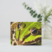 Groene kikker briefkaart (Staand voorkant)