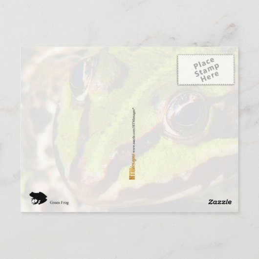 Groene kikker briefkaart (Achterkant)