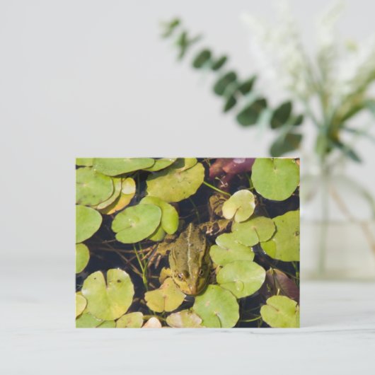 Groene kikker briefkaart (Staand voorkant)
