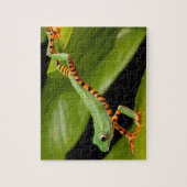 Groene kikker in een regenwoud legpuzzel (Verticaal)