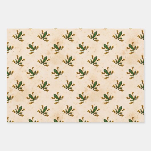 Groene kikker inpakpapier vel (Voorkant)