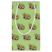 Groene kikker klein cadeauzakje (Achterkant)