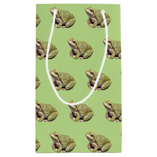 Groene kikker klein cadeauzakje (Achterkant)