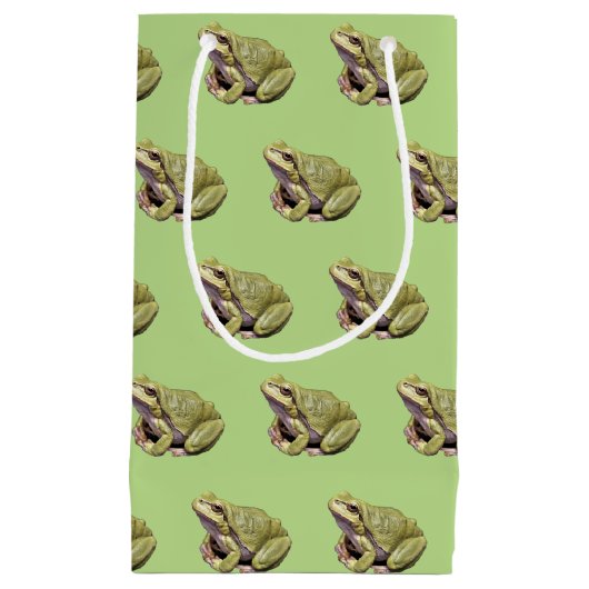 Groene kikker klein cadeauzakje (Voorkant)