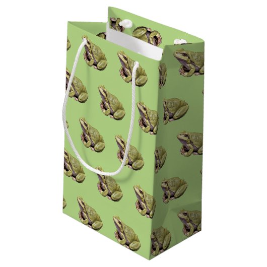 Groene kikker klein cadeauzakje (Achterkant Gekanteld)