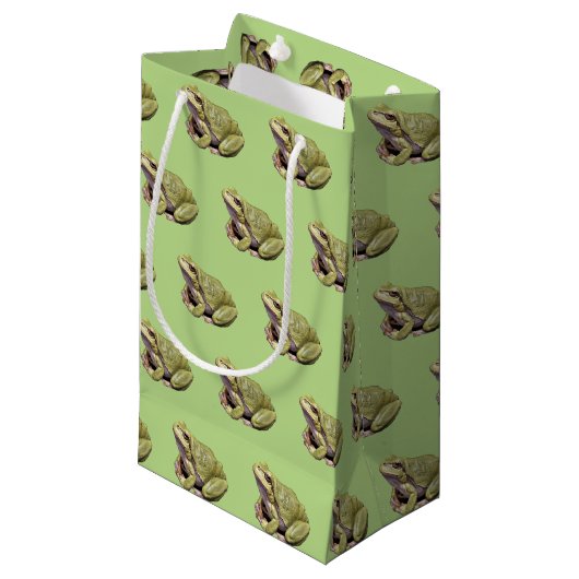 Groene kikker klein cadeauzakje (Voorkant Gekanteld)