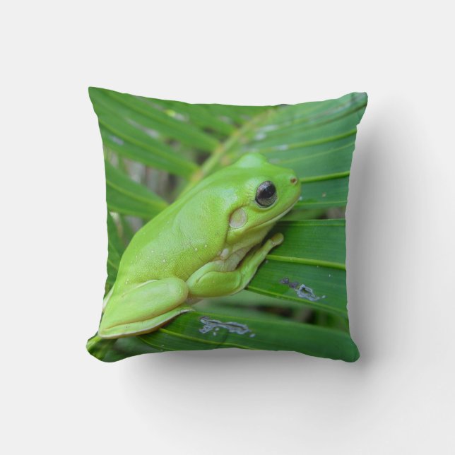 Groene kikker kussen (Voorkant)