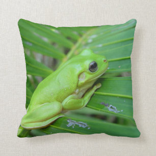 Groene kikker kussen