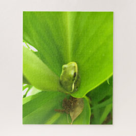 Groene kikker legpuzzel