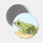 Groene kikker magneet (Voorkant / Achterkant)