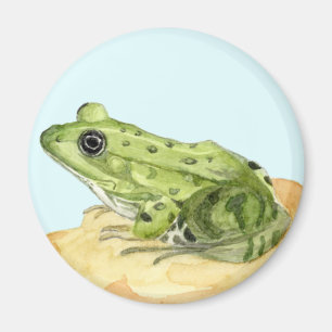Groene kikker magneet