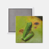 groene kikker magneet (Voorkant / Achterkant)