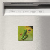 groene kikker magneet (Insitu (Vaatwasser))