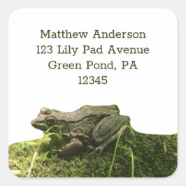 Groene Kikker op een Mossy Rock Retouradres Labels