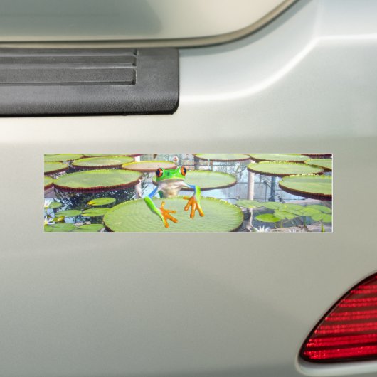 Groene kikker op Lily Pad, Bumpersticker (Op auto)