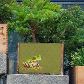 Groene kikker op Patroon Weefsel Papier Decoupage