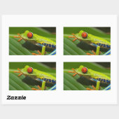 Groene kikker rechthoekige sticker (Vel)